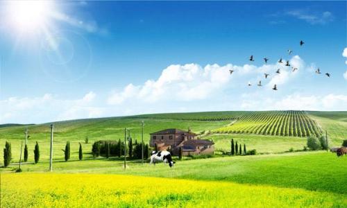 我国拟开征环境保护税